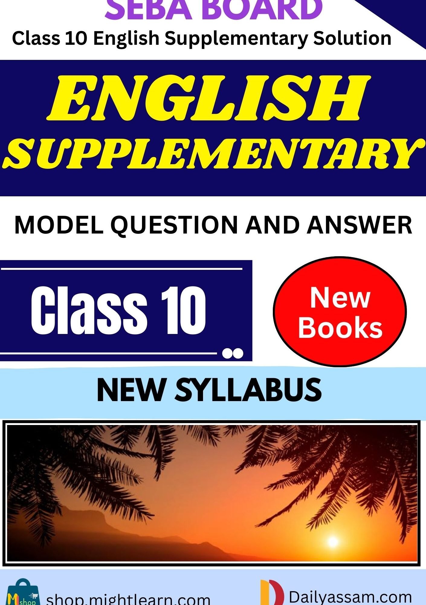 SEBA Class 10 English Supplementary