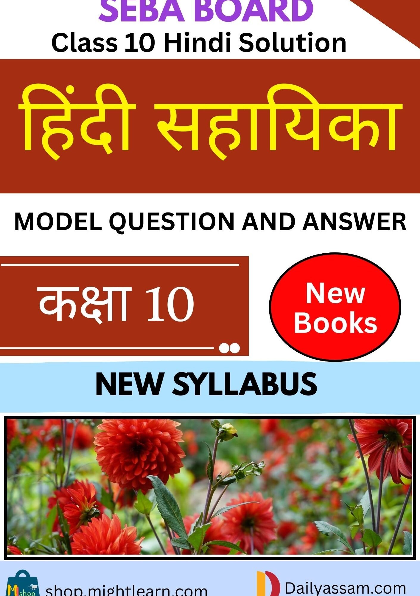 SEBA Class 10 Hindi AM