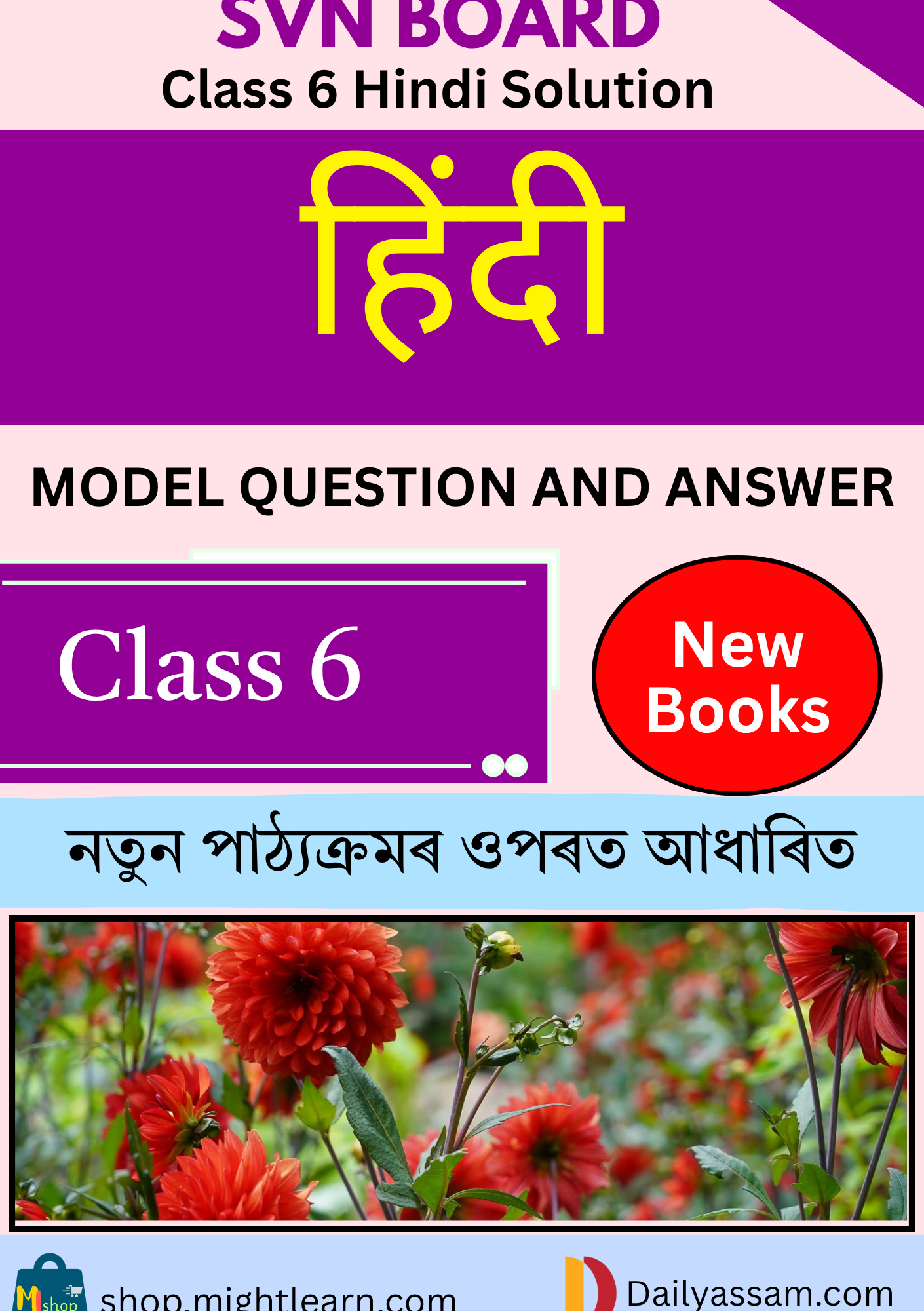 SVN Class 6 Hindi AM